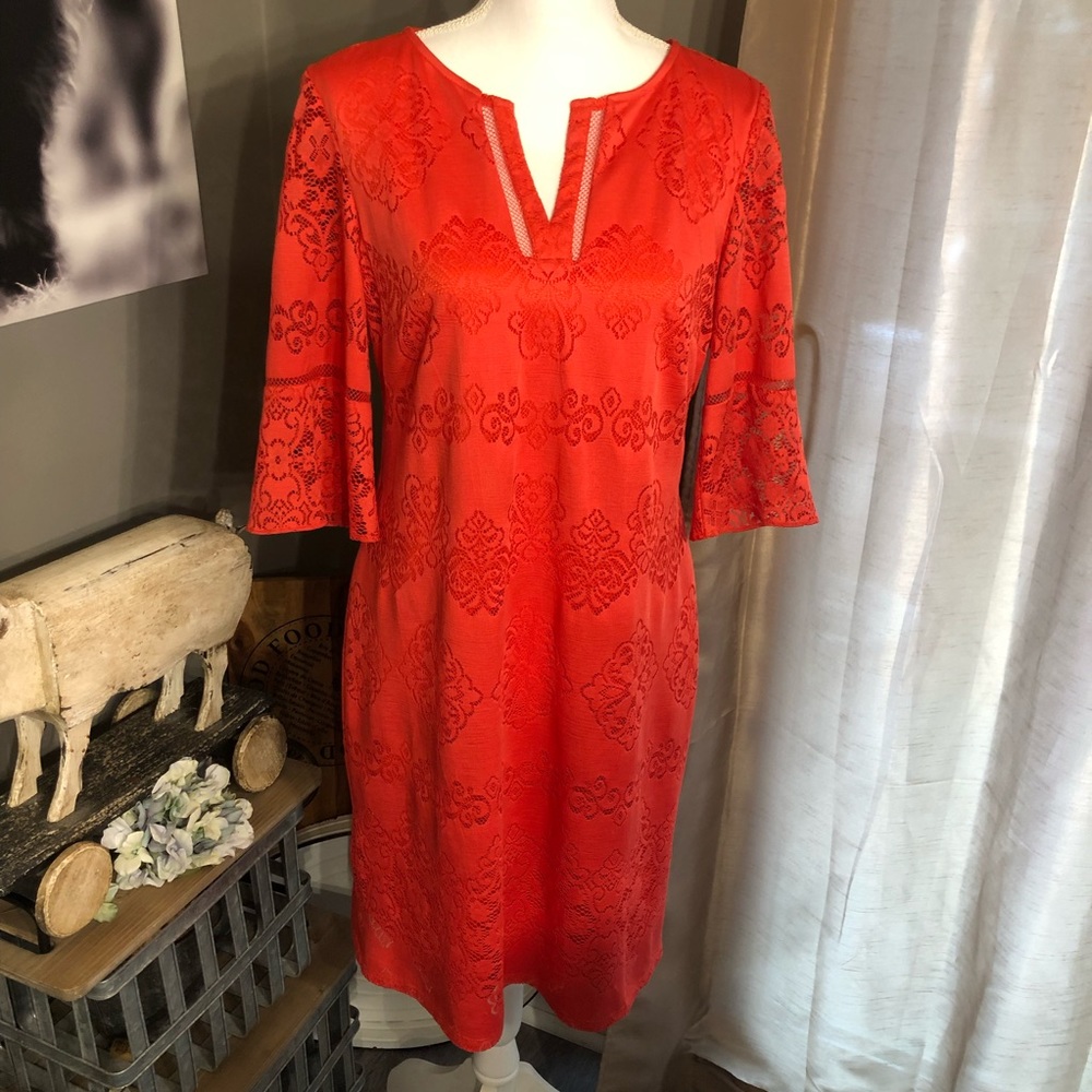 Bell sleeve, lacy look, fully lined dress